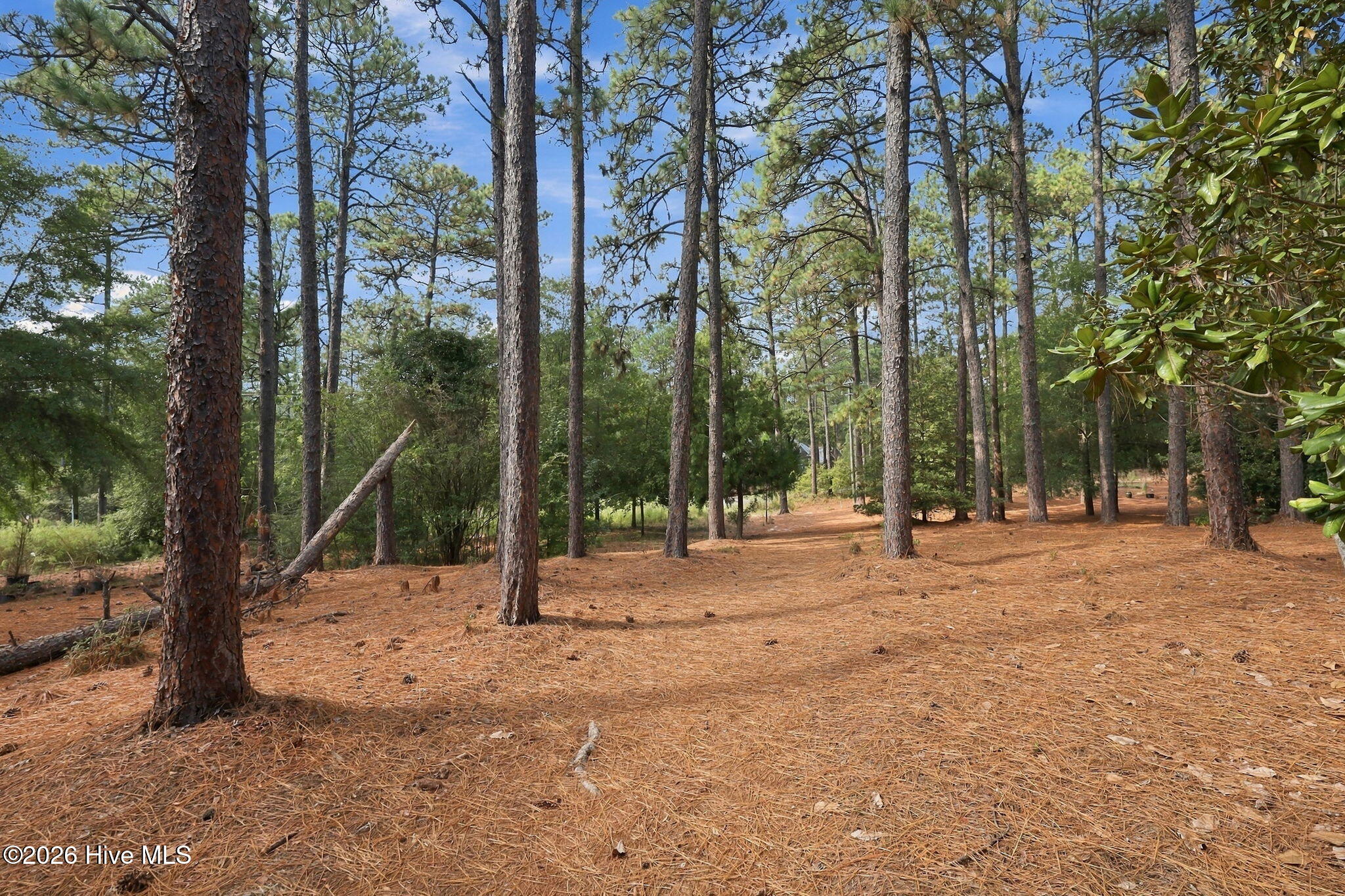 555 Donald Ross Drive