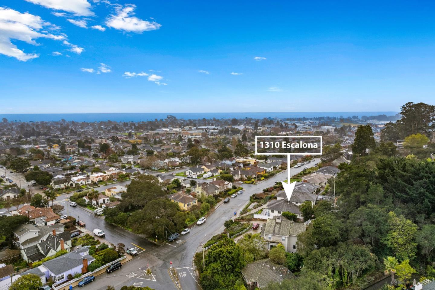1310 Escalona DR