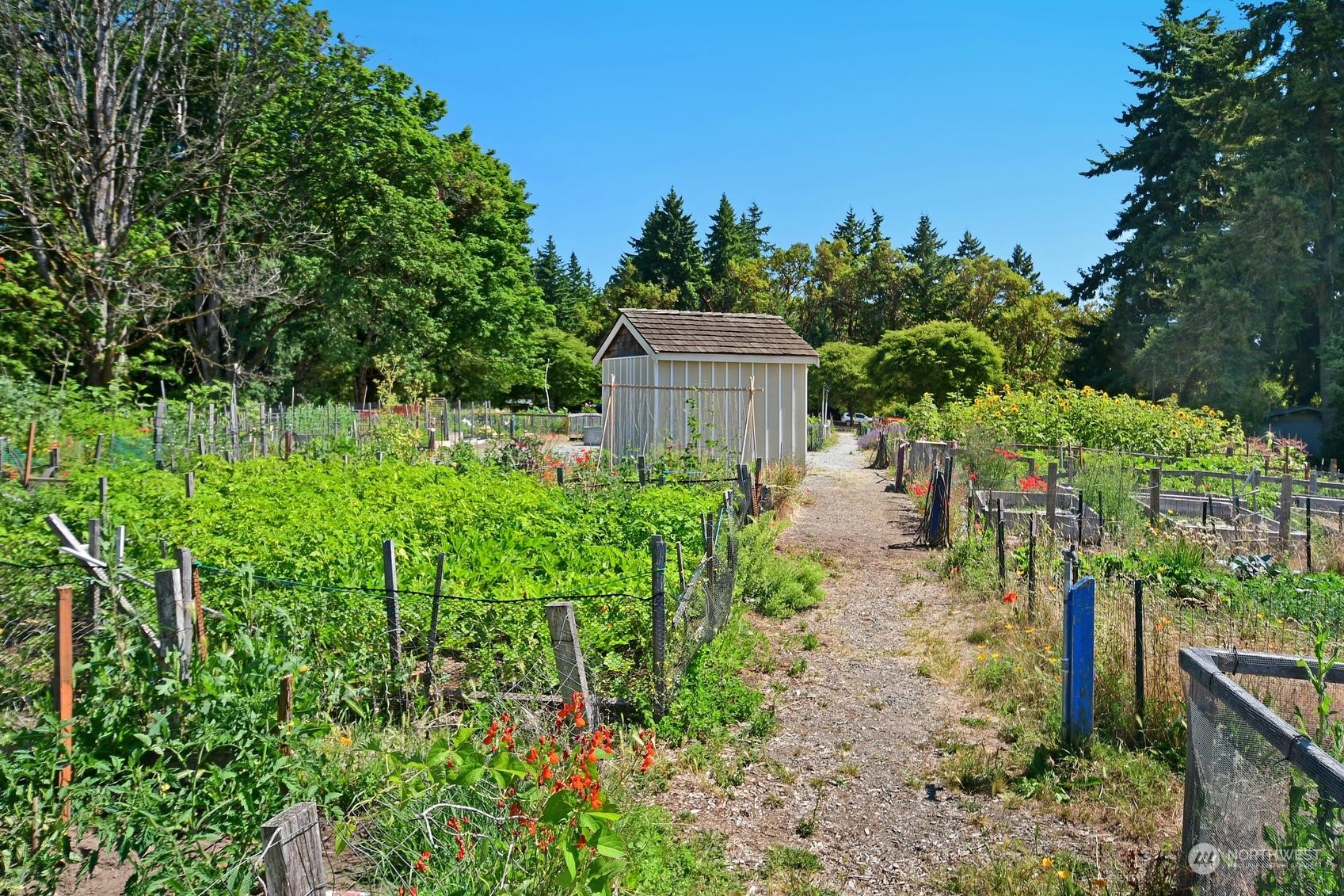 808 A SW Henderson Street