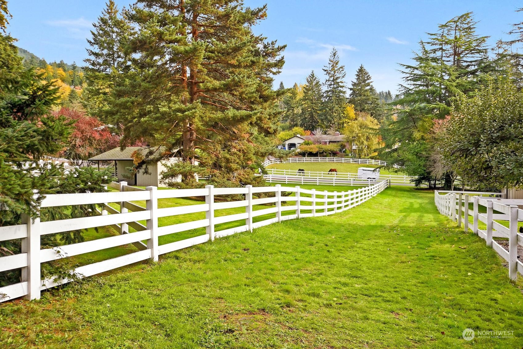 19915 SE 125th Street