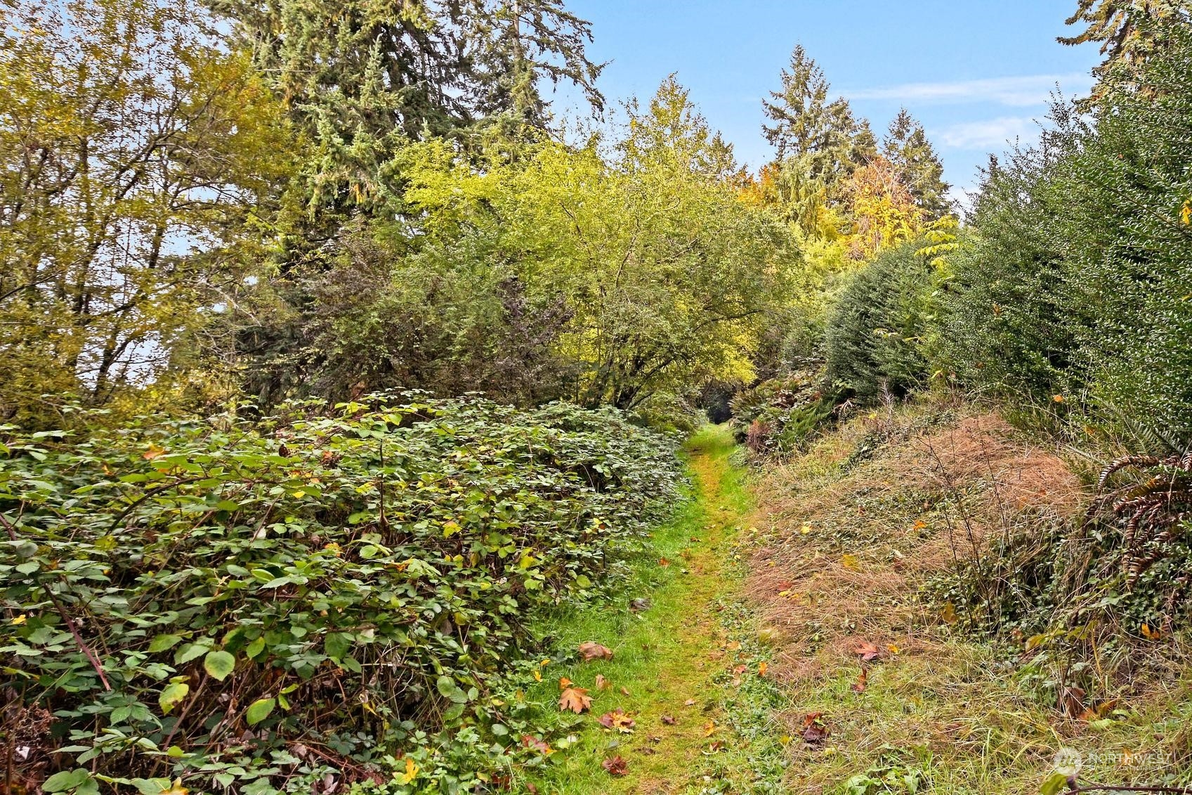 19915 SE 125th Street