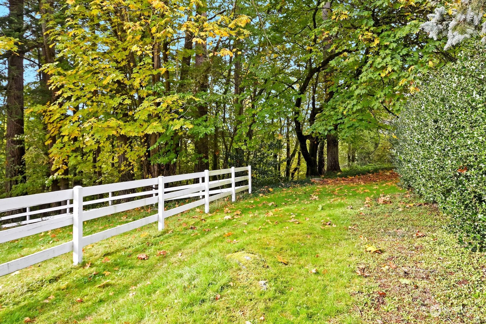 19915 SE 125th Street