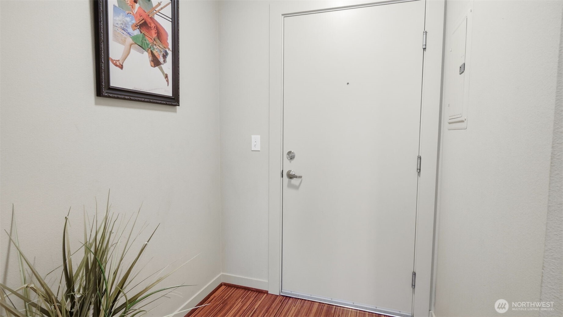 Entryway with a white front door, striped wood flooring, framed artwork, and a tall potted plant.