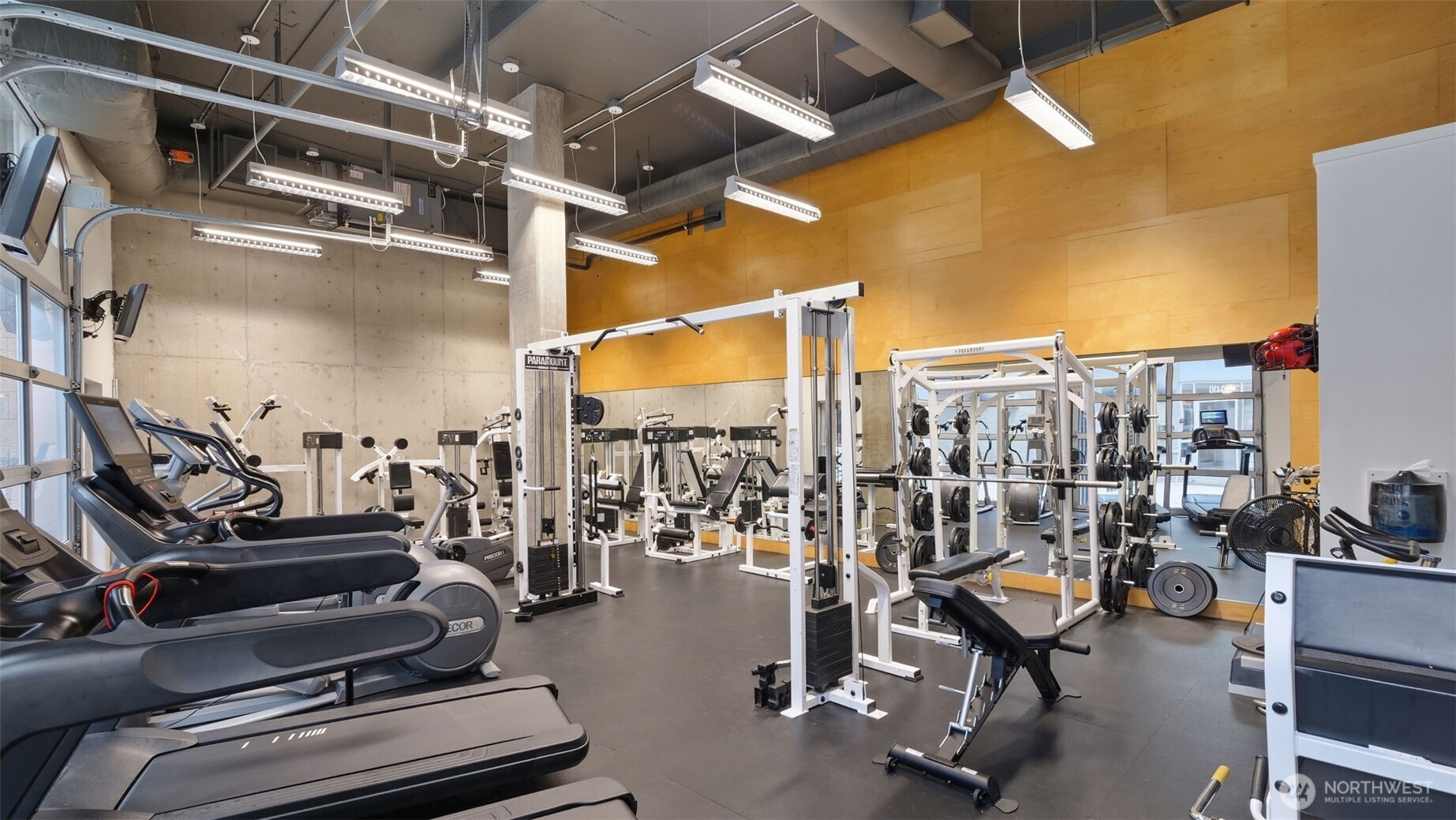 Condominium gym with treadmills and weight machines against a large wood-paneled wall.