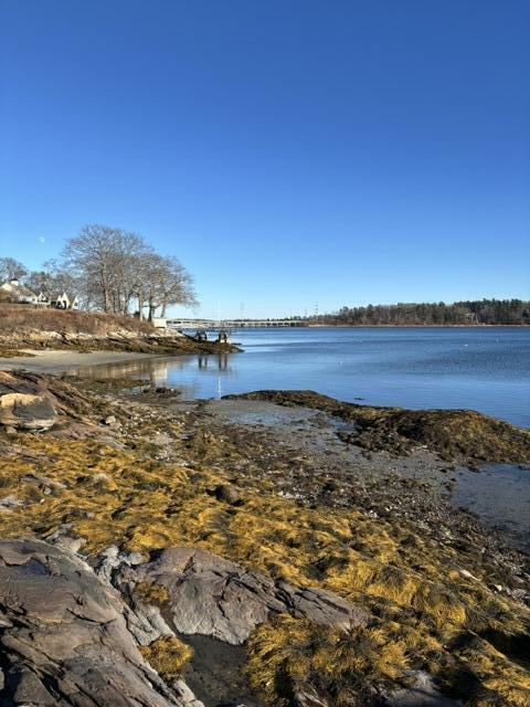14 Kingfisher Cove