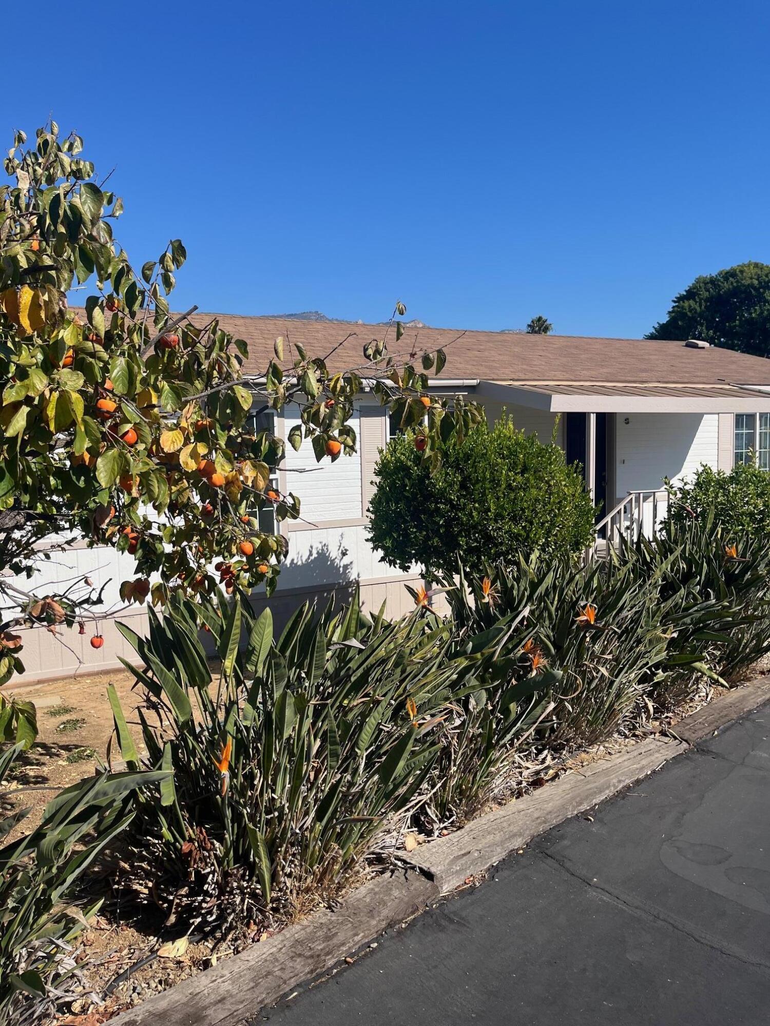 333 Old Mill Road, 239