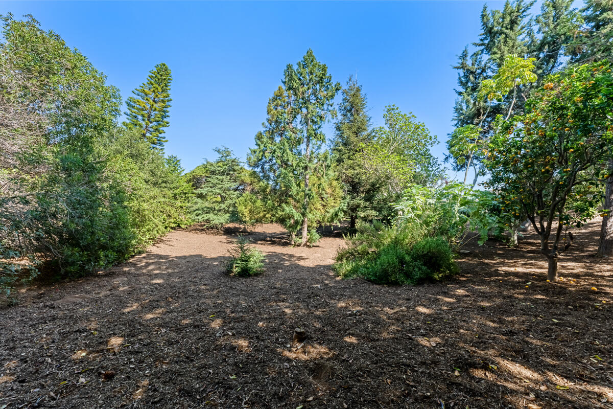 4548 Camino Molinero