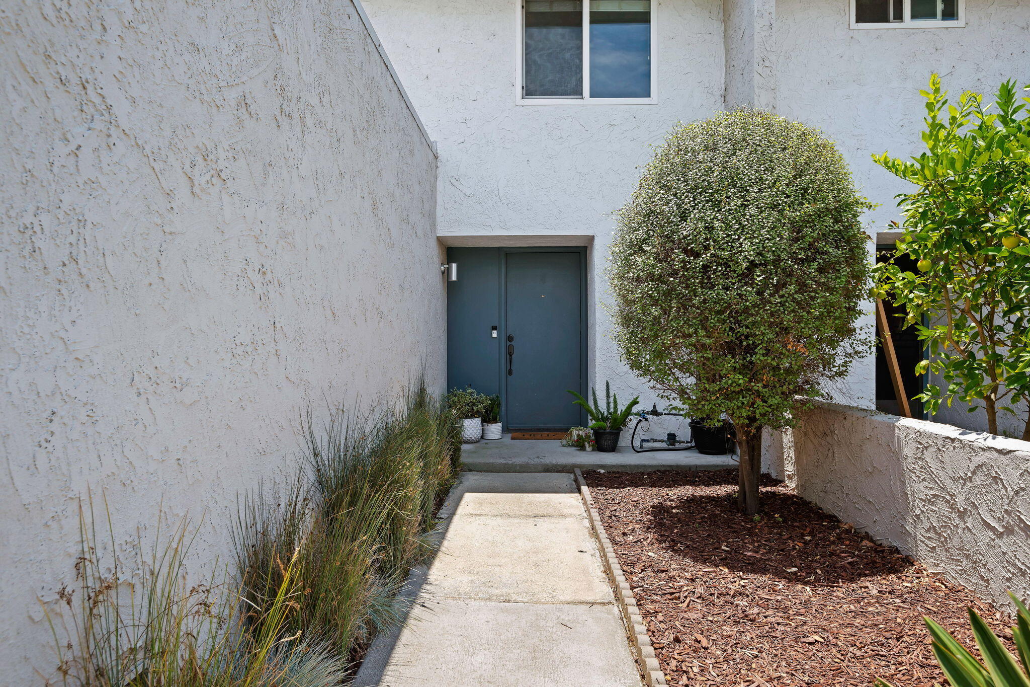 Front entry with a dark blue door, concrete walkway, and landscaped garden.