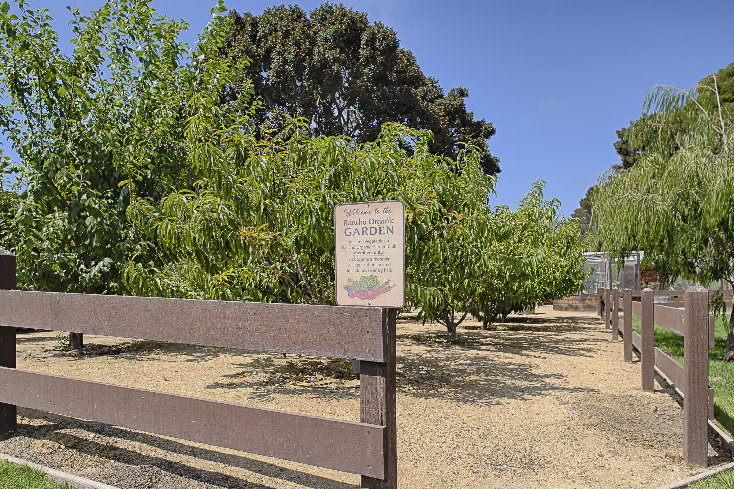 333 Old Mill Road Spc 66