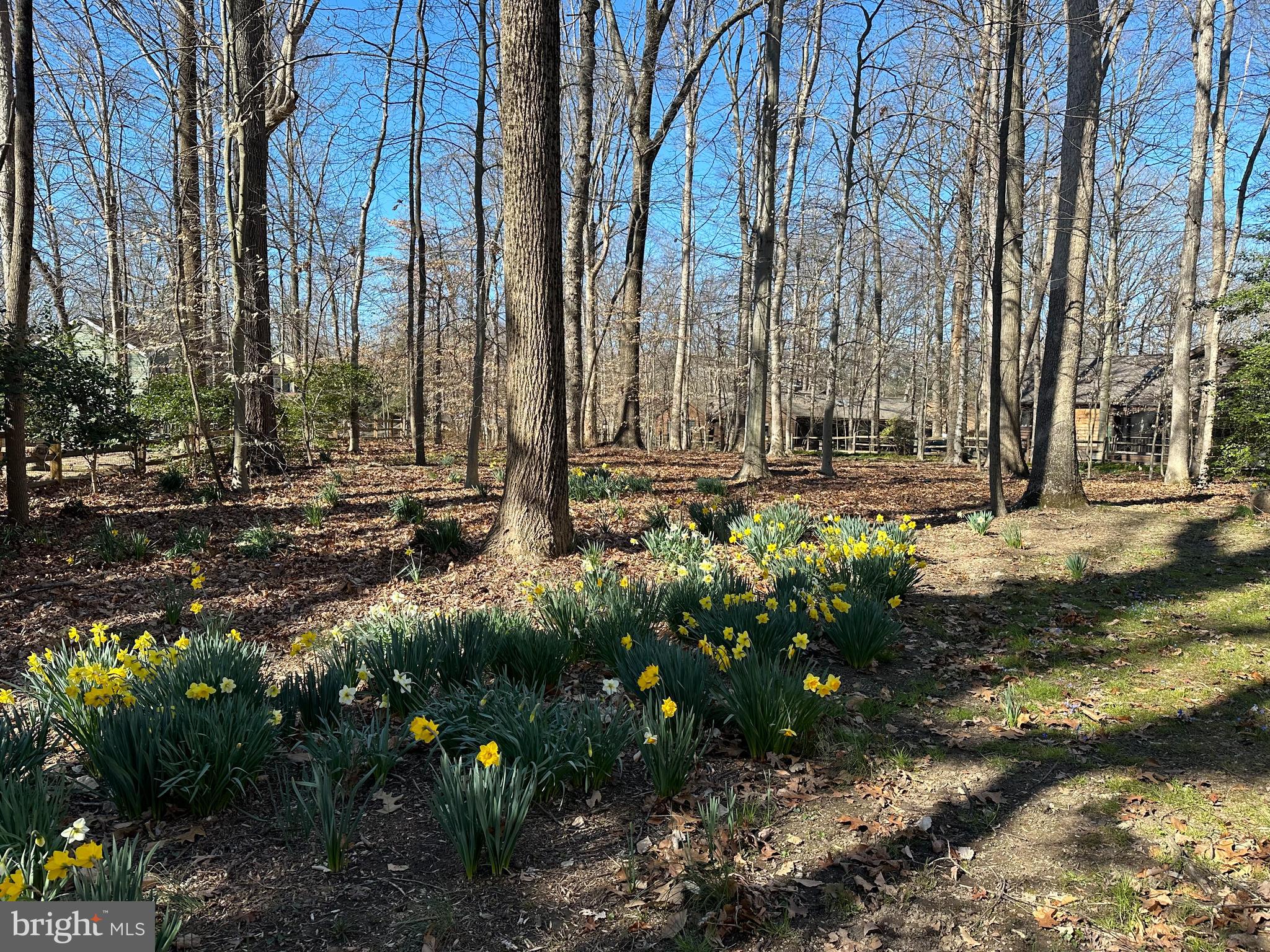 10401 NORTHDALE ROAD