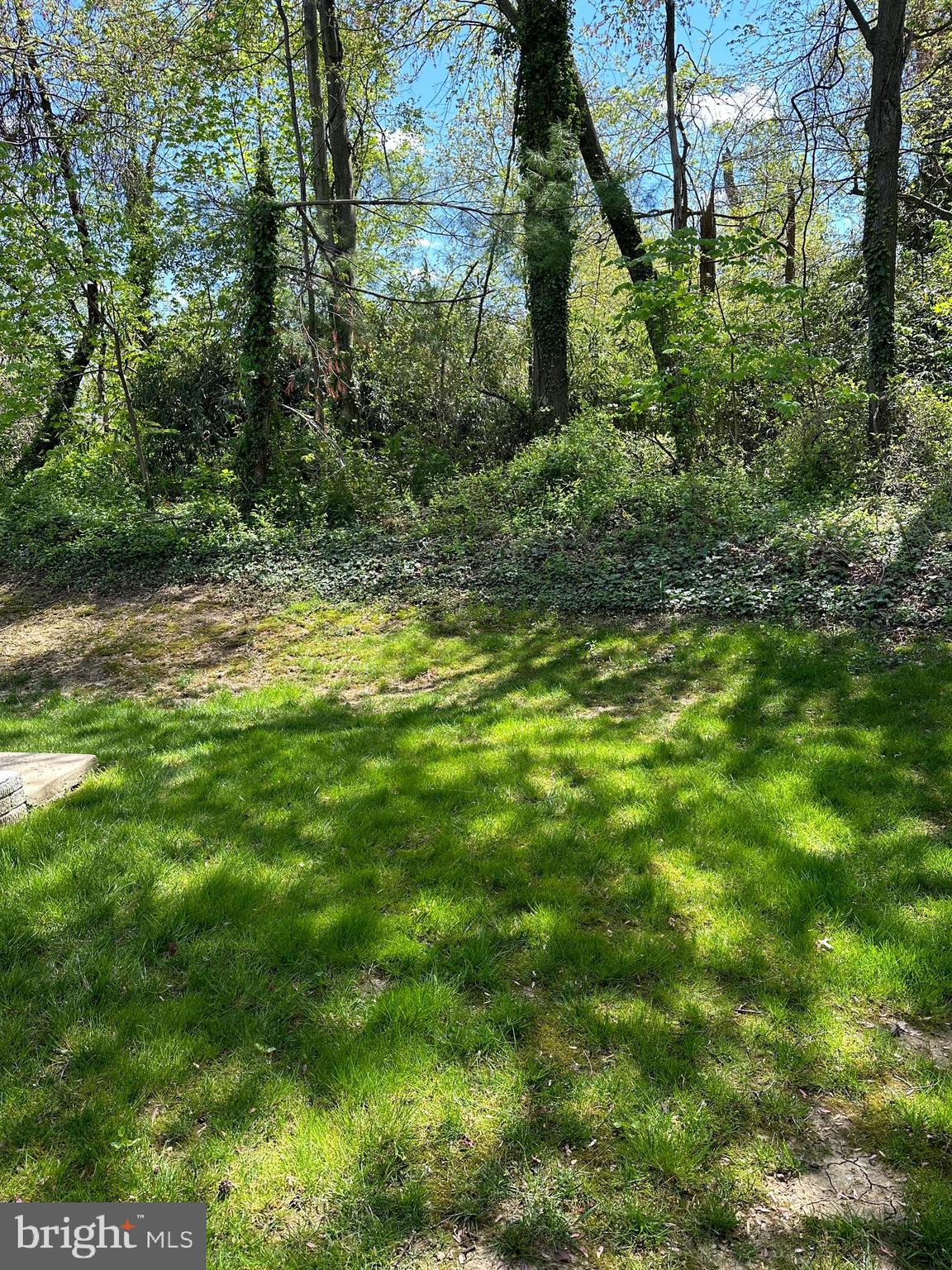 8124 WOODWARD STREET