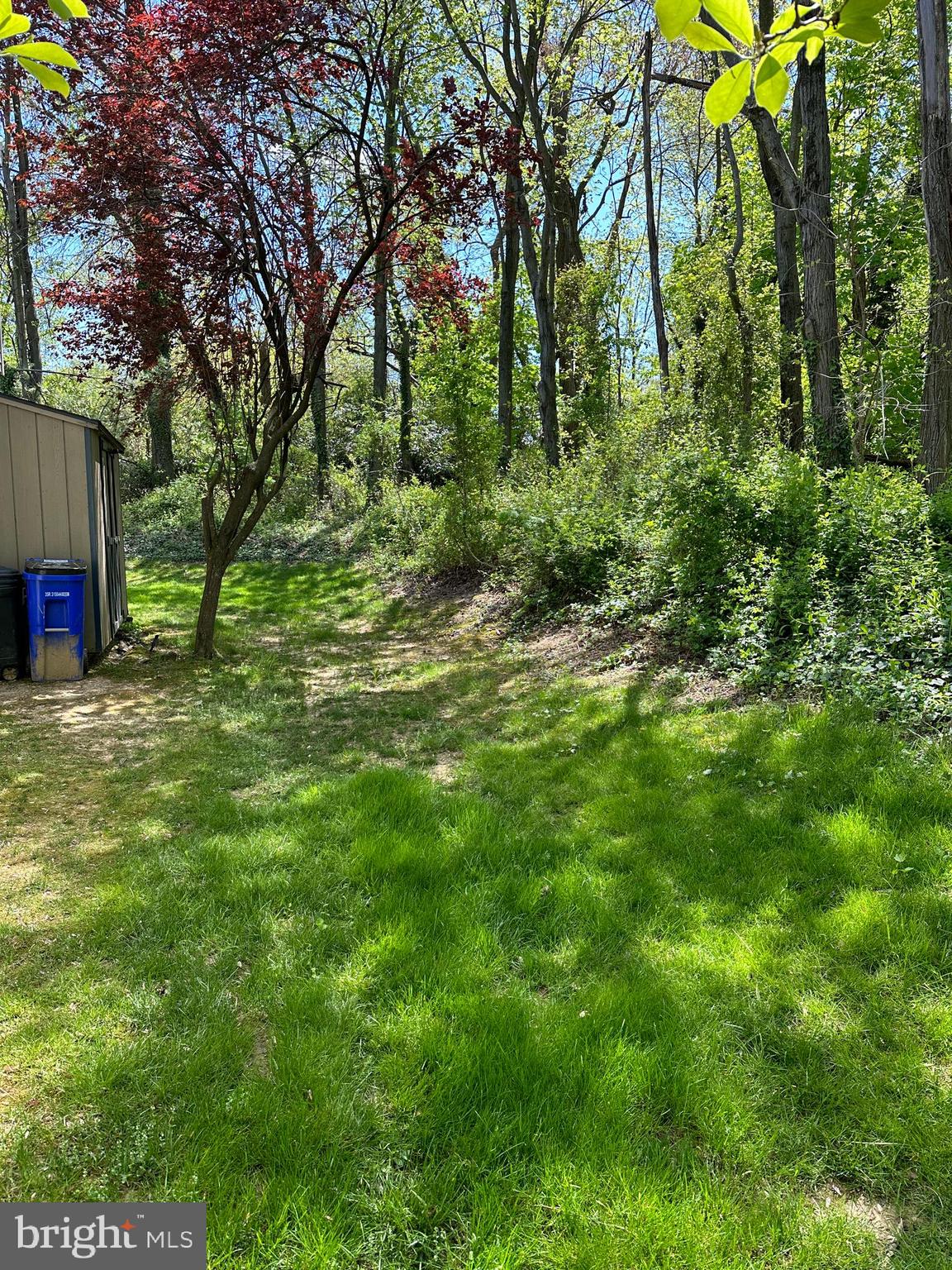 8124 WOODWARD STREET