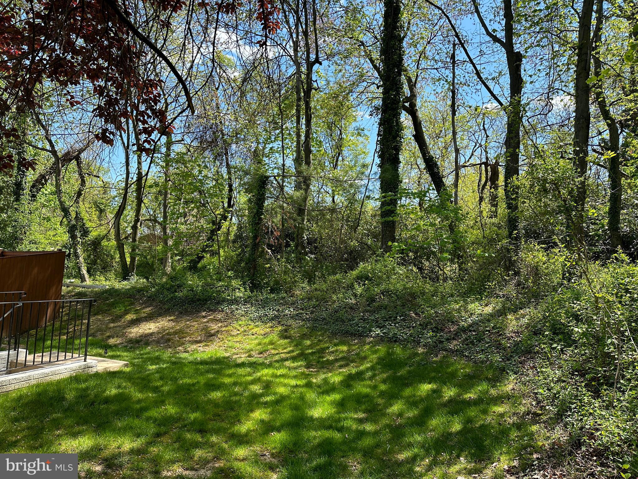 8124 WOODWARD STREET