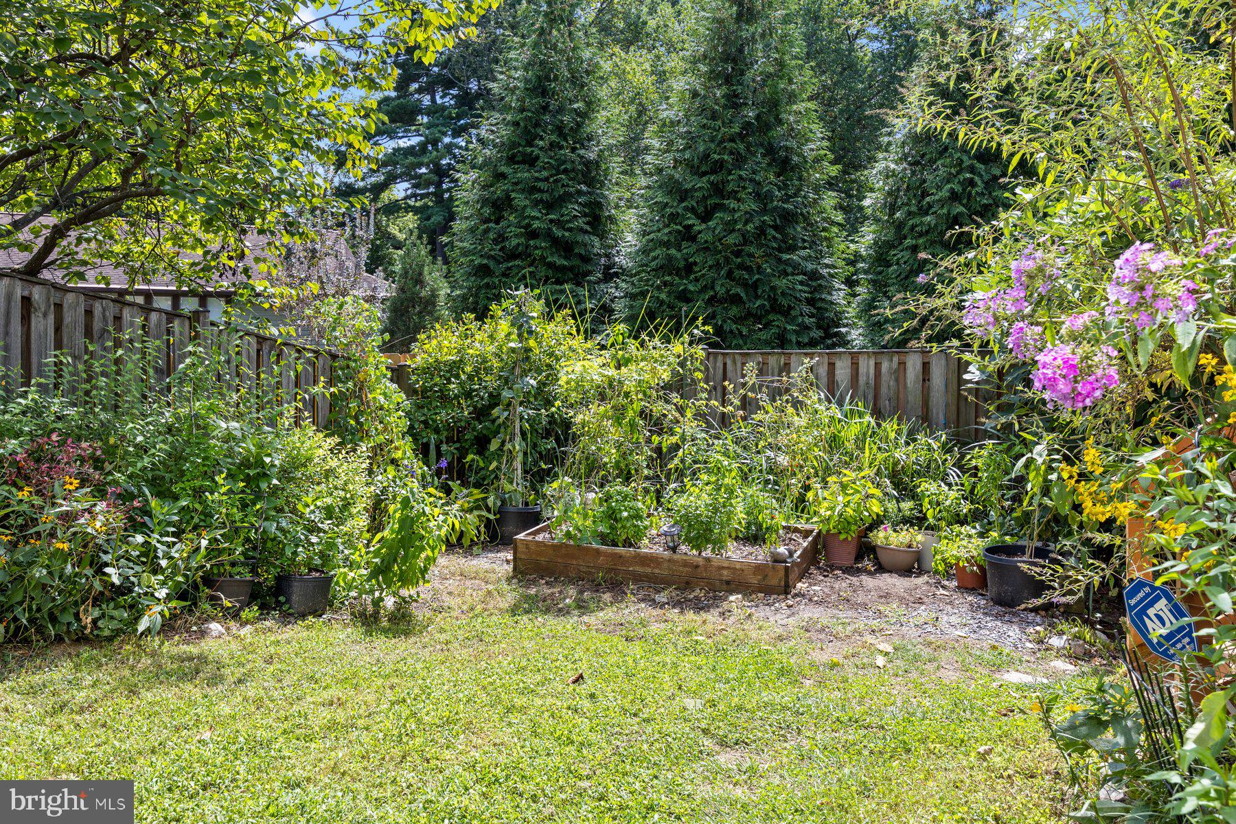 6036 CHARLES EDWARD TERRACE