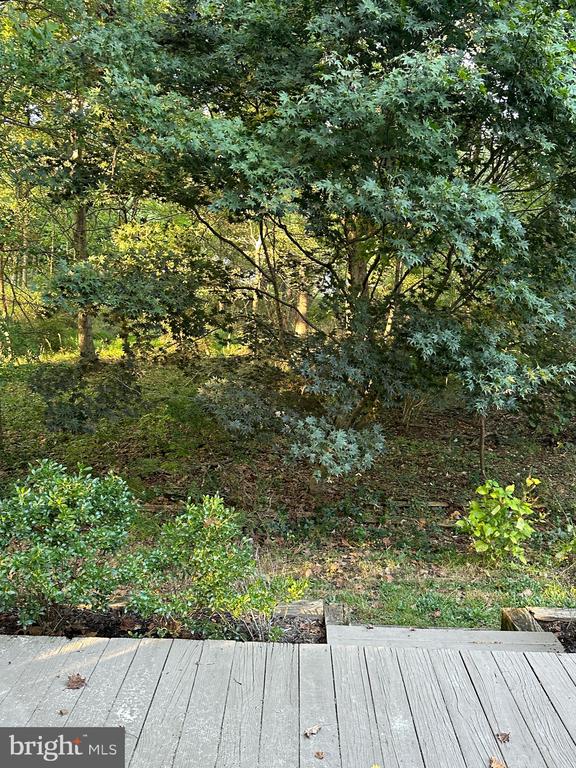 6340 SUNNY SPRING