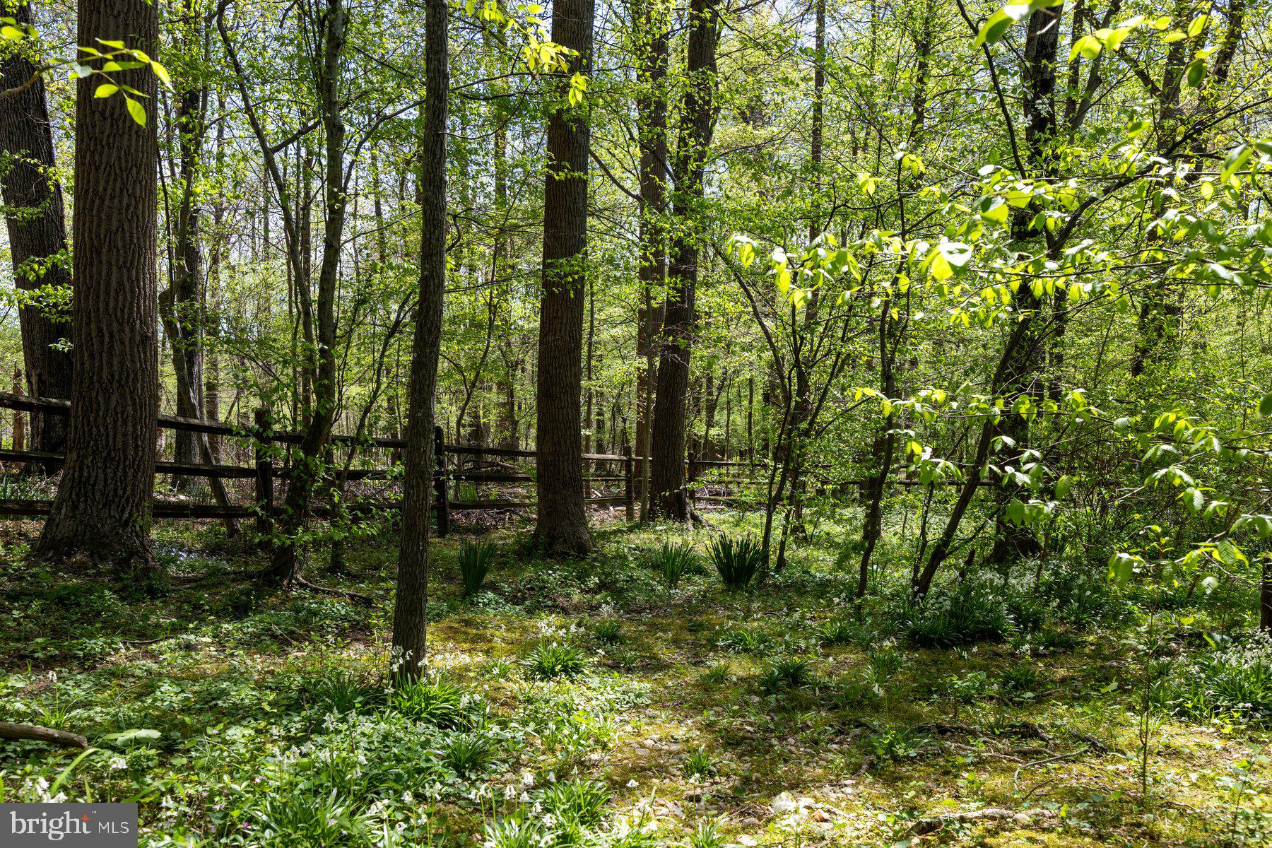 7185 RIVERS EDGE ROAD