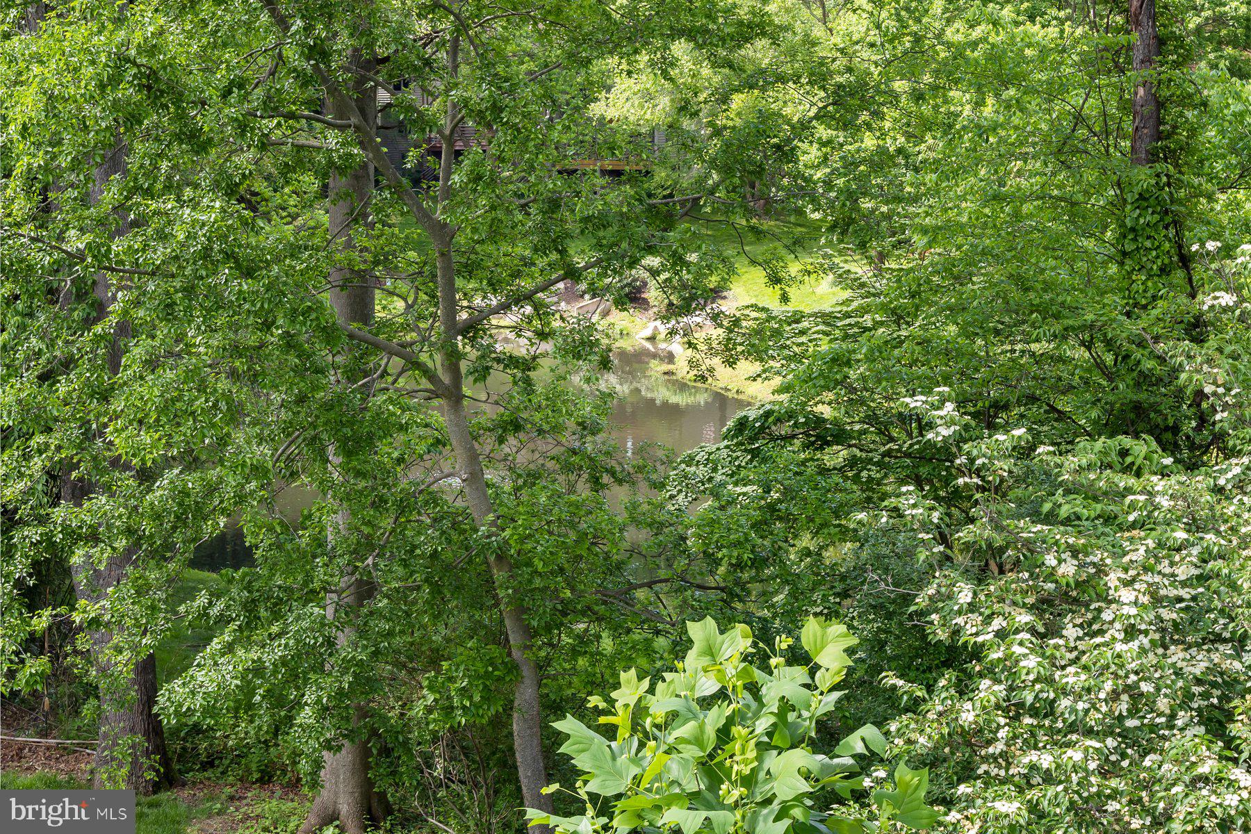 10944 ROCK COAST ROAD