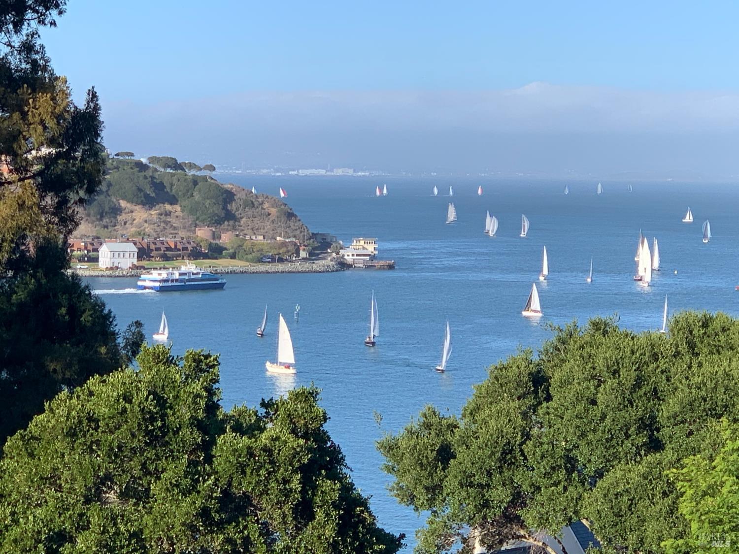 Bay view with numerous sailboats, a ferry, and a tree-lined shoreline.