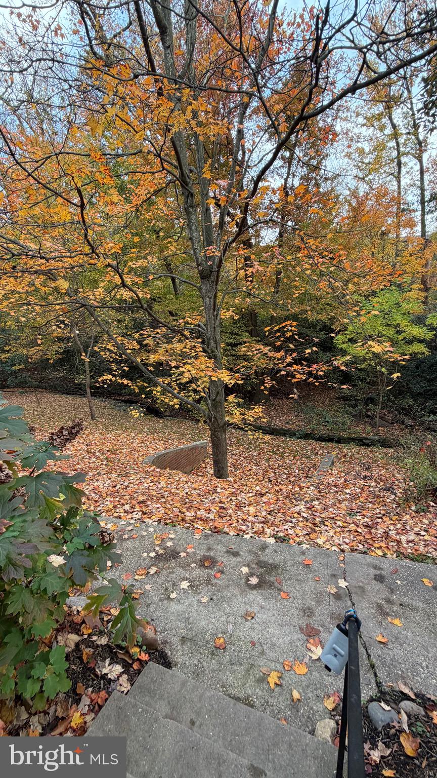 1415 S Edgewood St #463