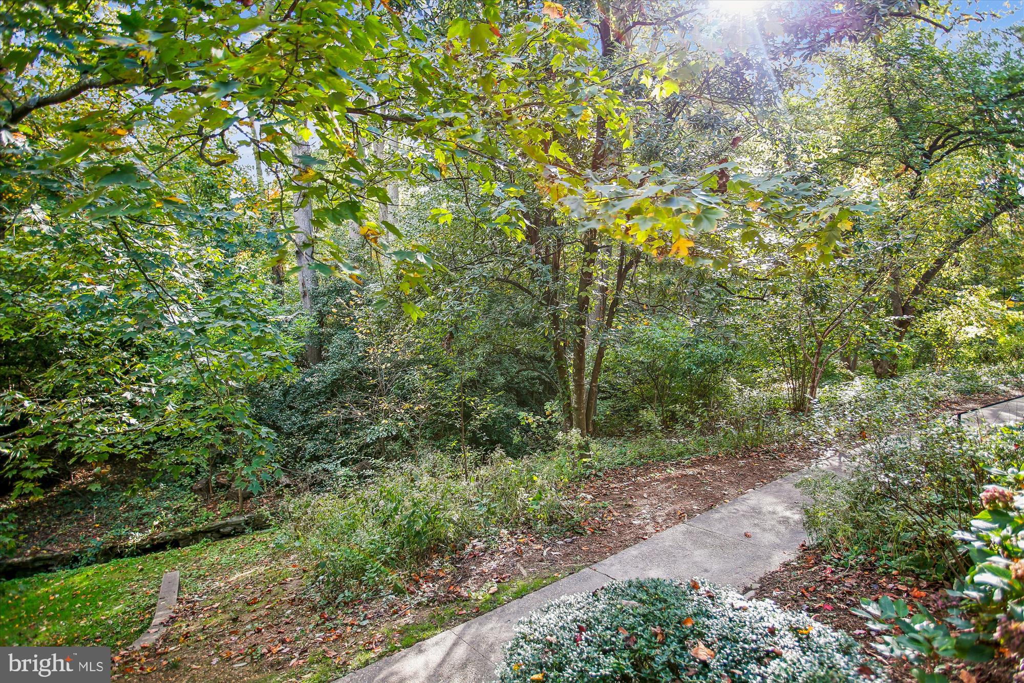 1415 S Edgewood St #463