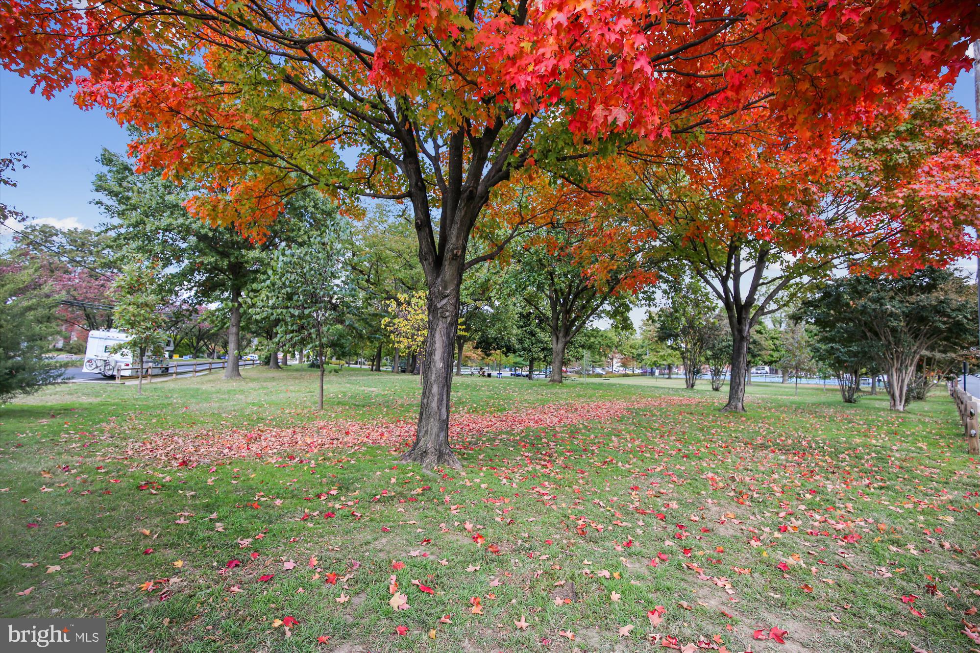 1415 S Edgewood St #463