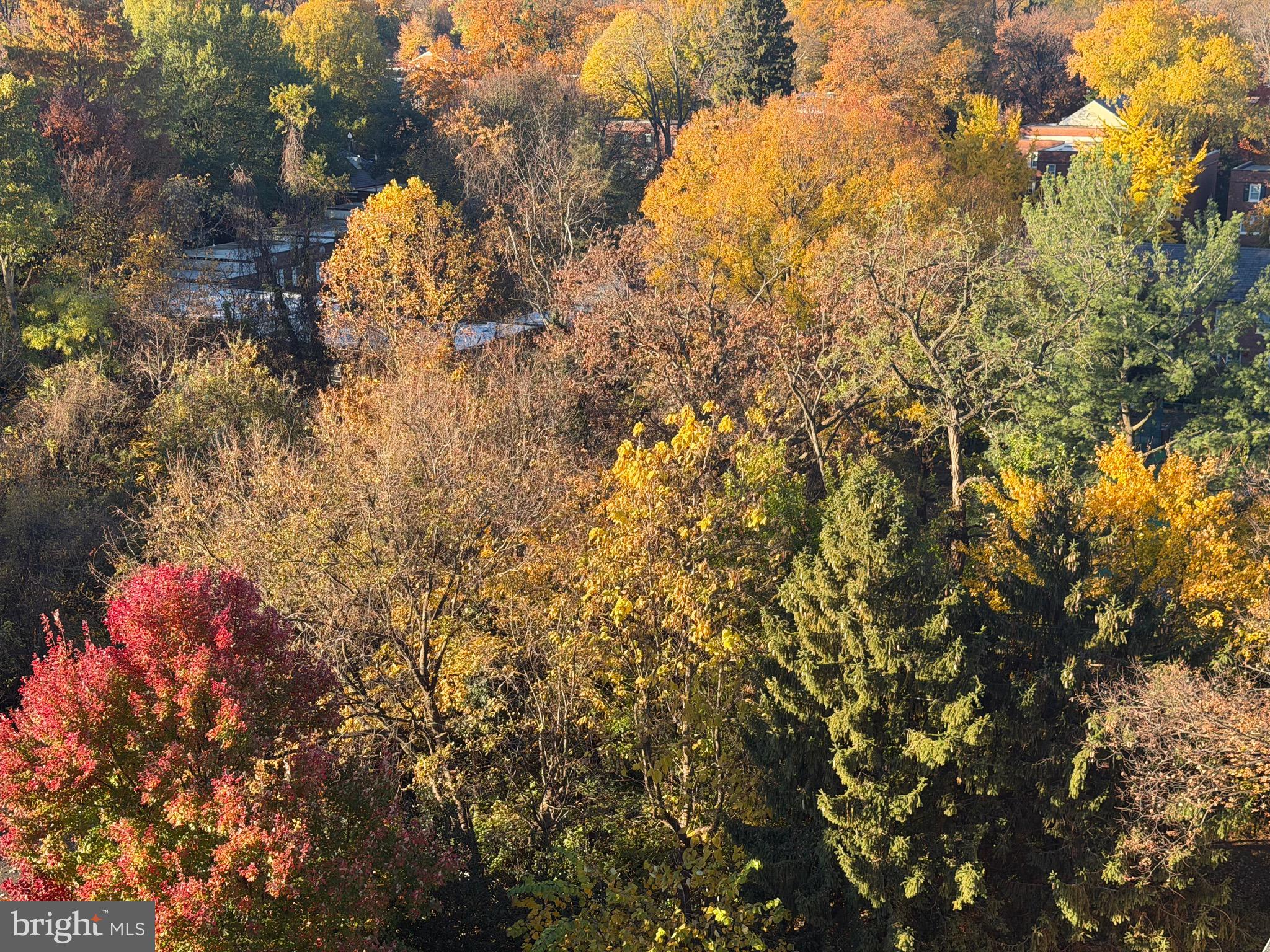 1415 S Edgewood St #463