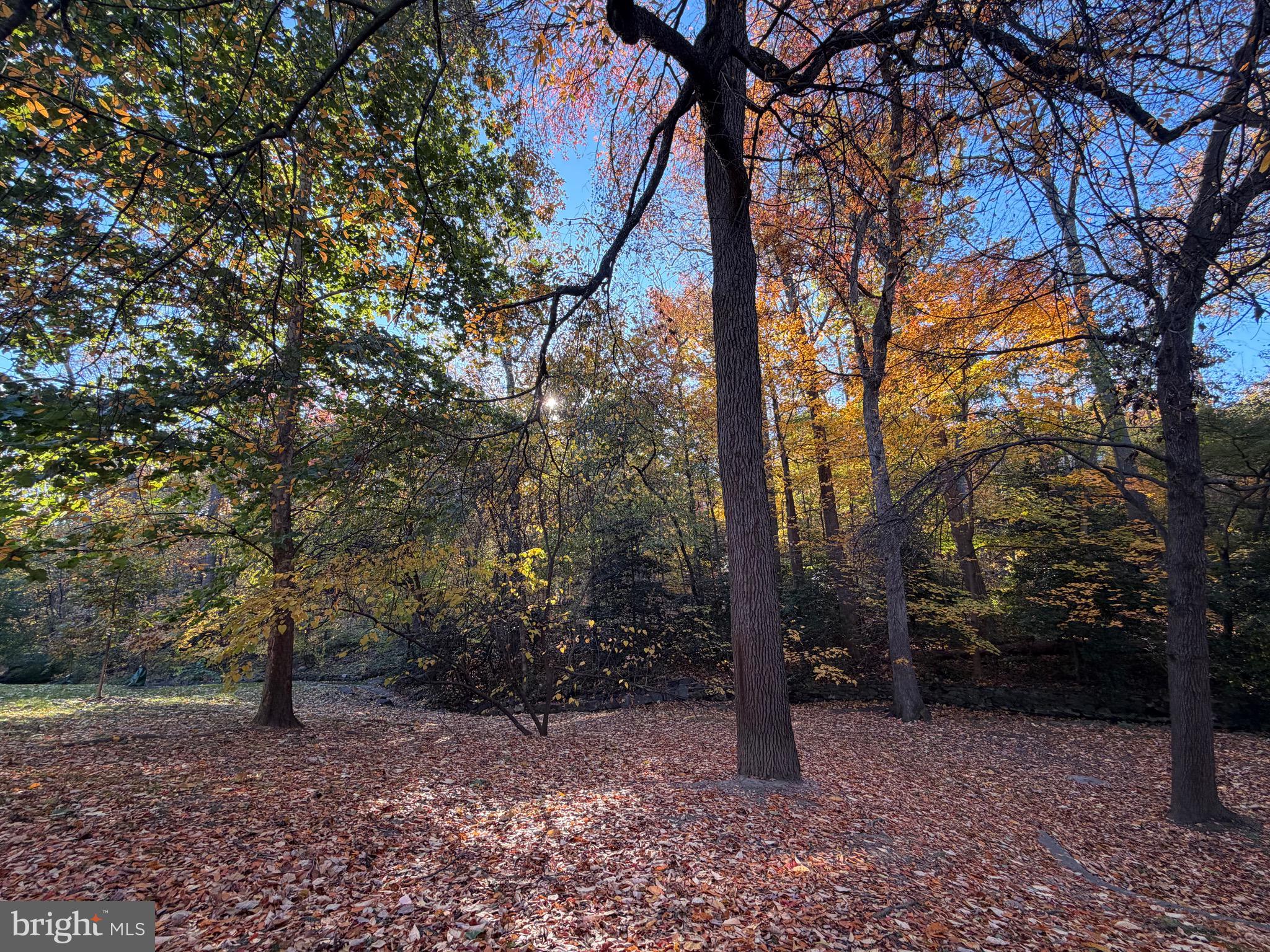 1415 S Edgewood St #463