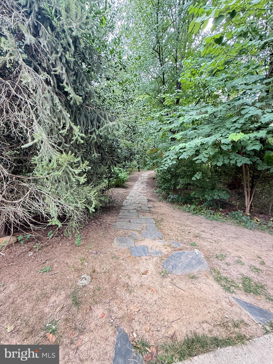 1415 S Edgewood St #463