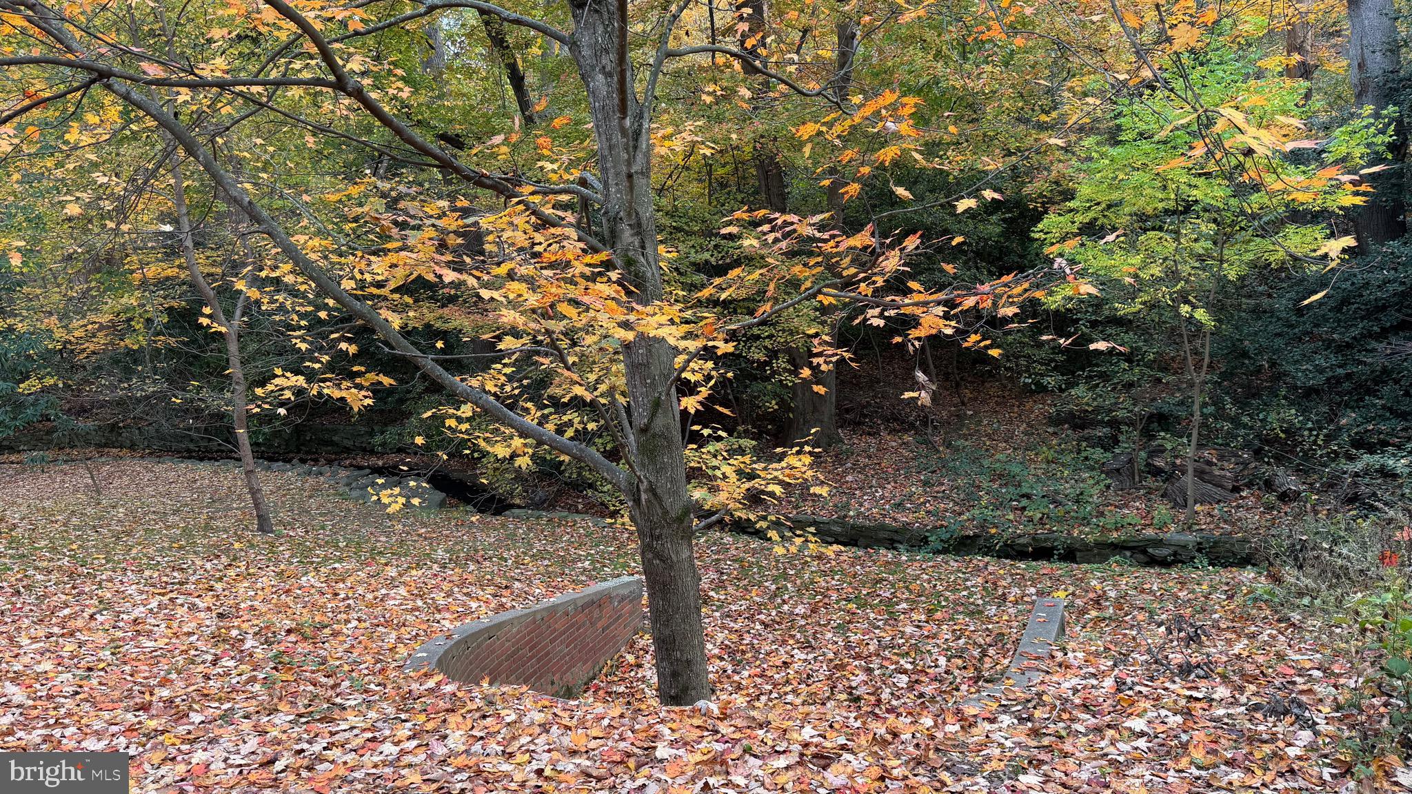 1415 S Edgewood St #463