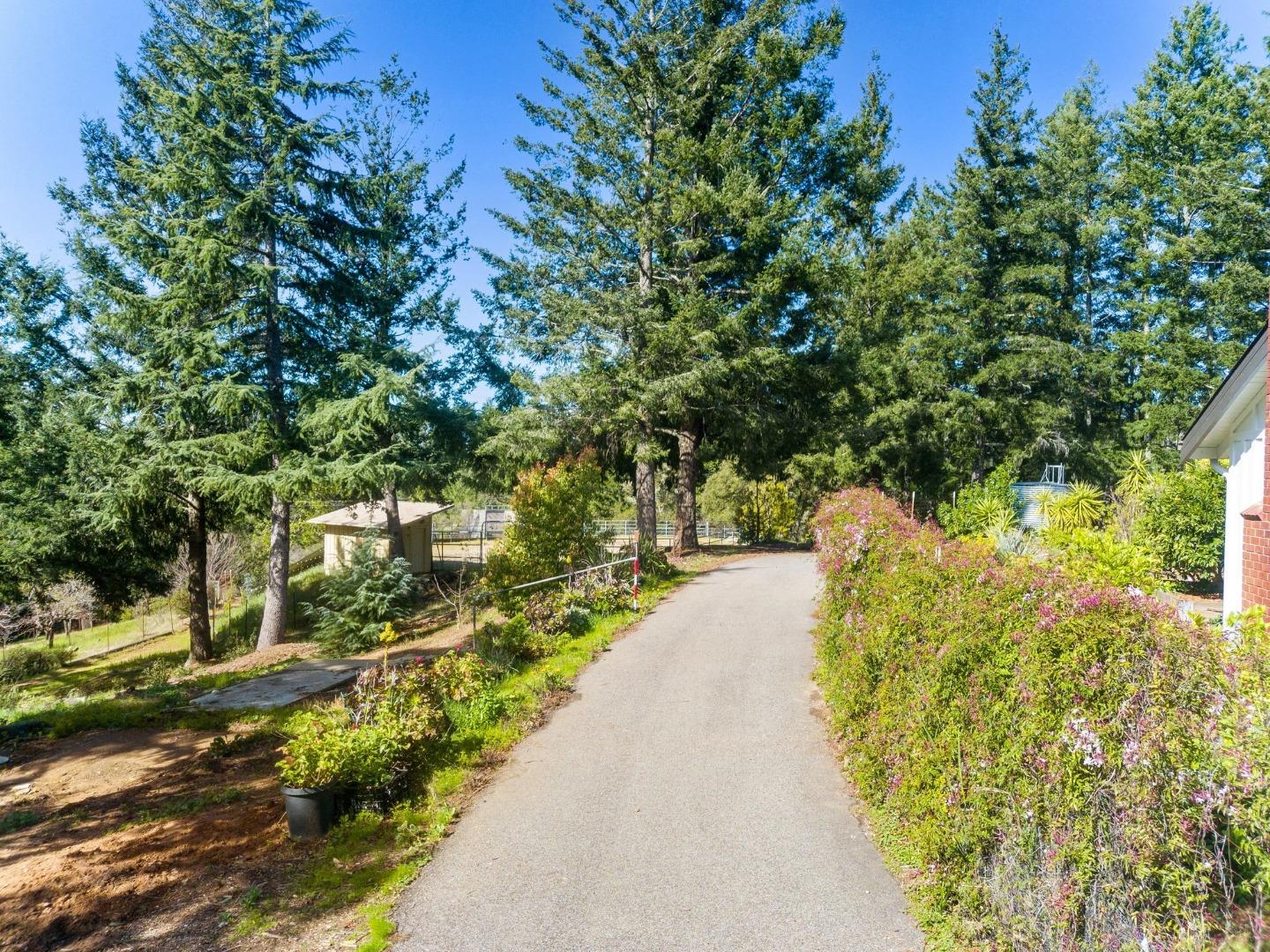 125 Mcgivern Way