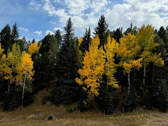 12090 Tecumseh Trail