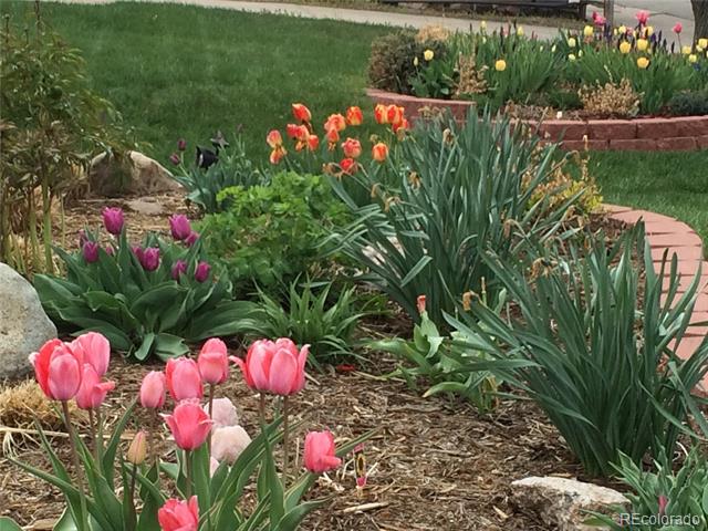 Landscaped garden with pink, purple, and orange tulips among ornamental plants and curved brick edging.