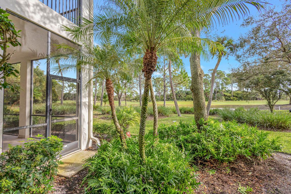 11564 Villa Vasari Drive