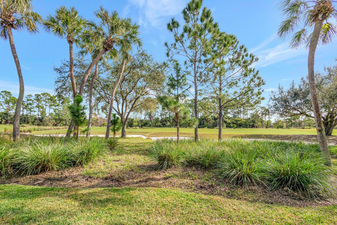 11564 Villa Vasari Drive