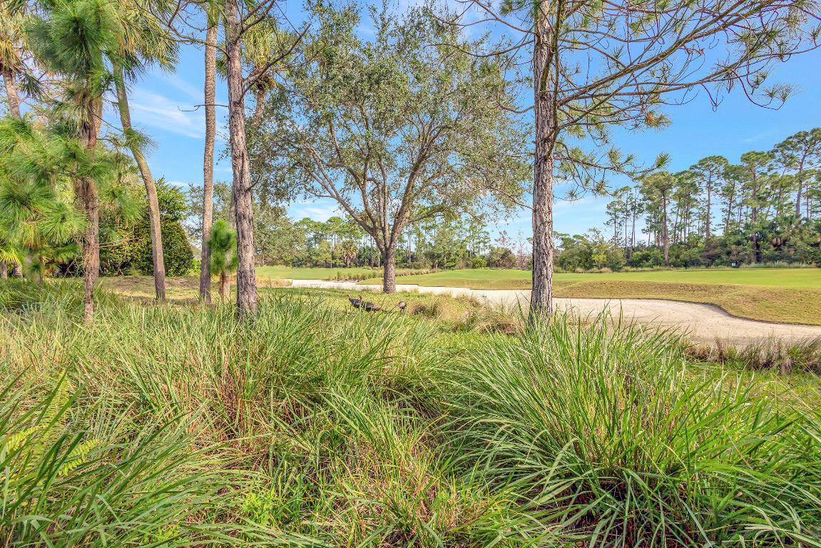 11564 Villa Vasari Drive