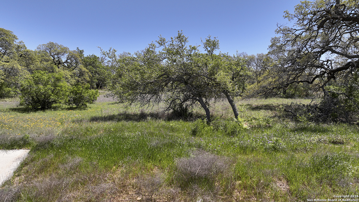 34714 SHELLY BRIDGE PT