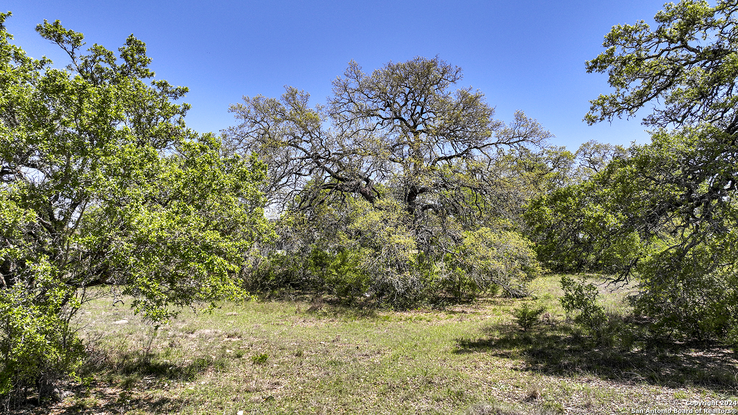 34714 SHELLY BRIDGE PT
