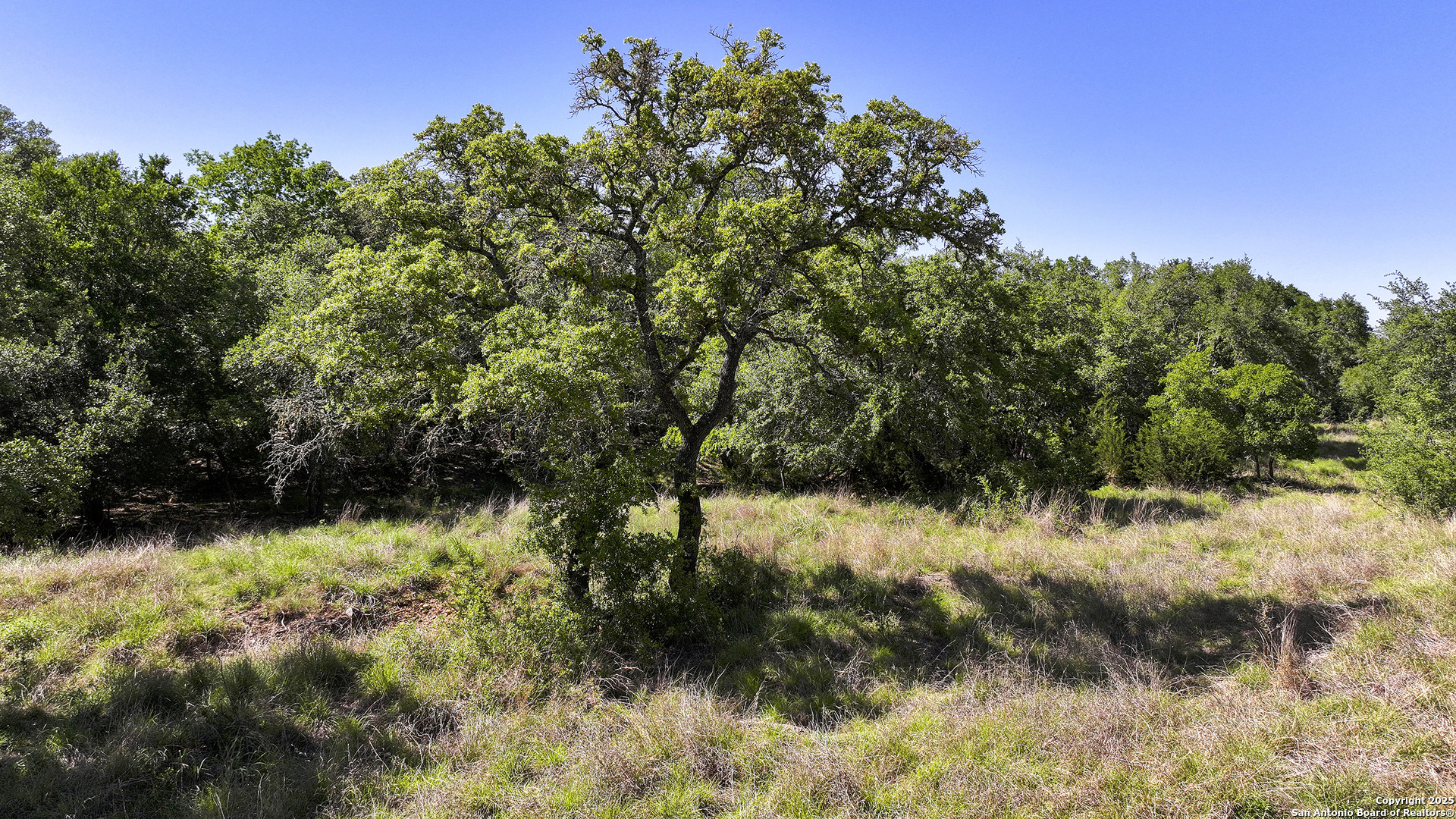 31401 Smithson Valley