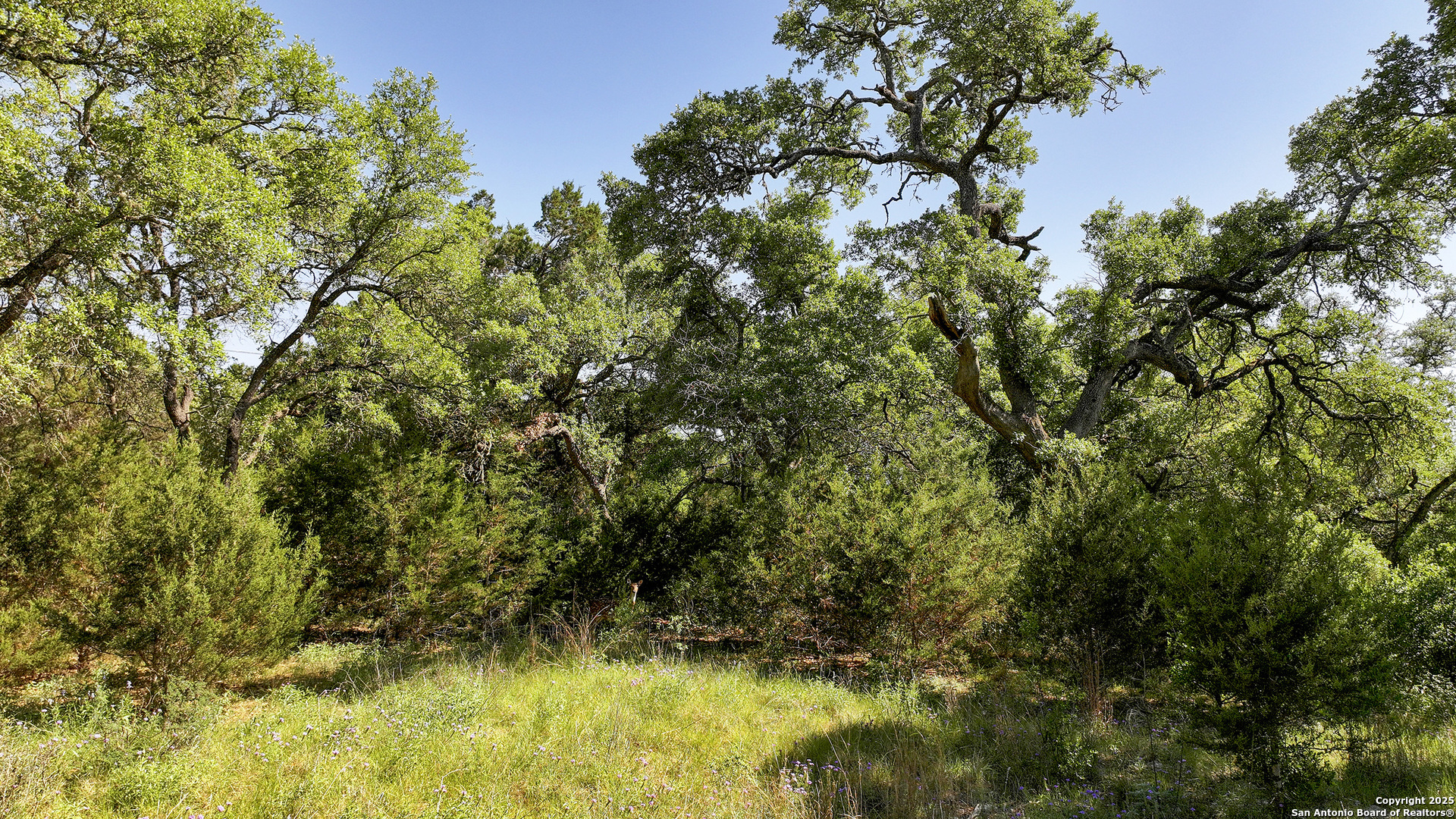 31401 Smithson Valley