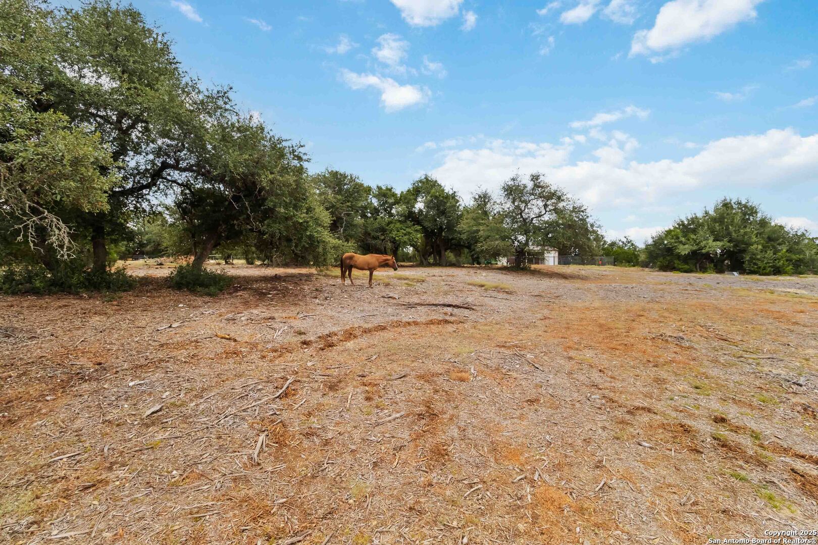 1012 Rivers Peak