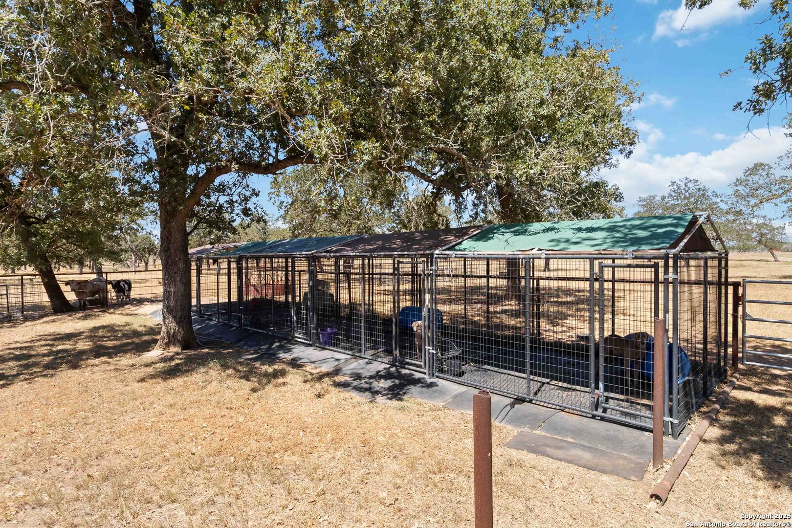 303 County Road 425