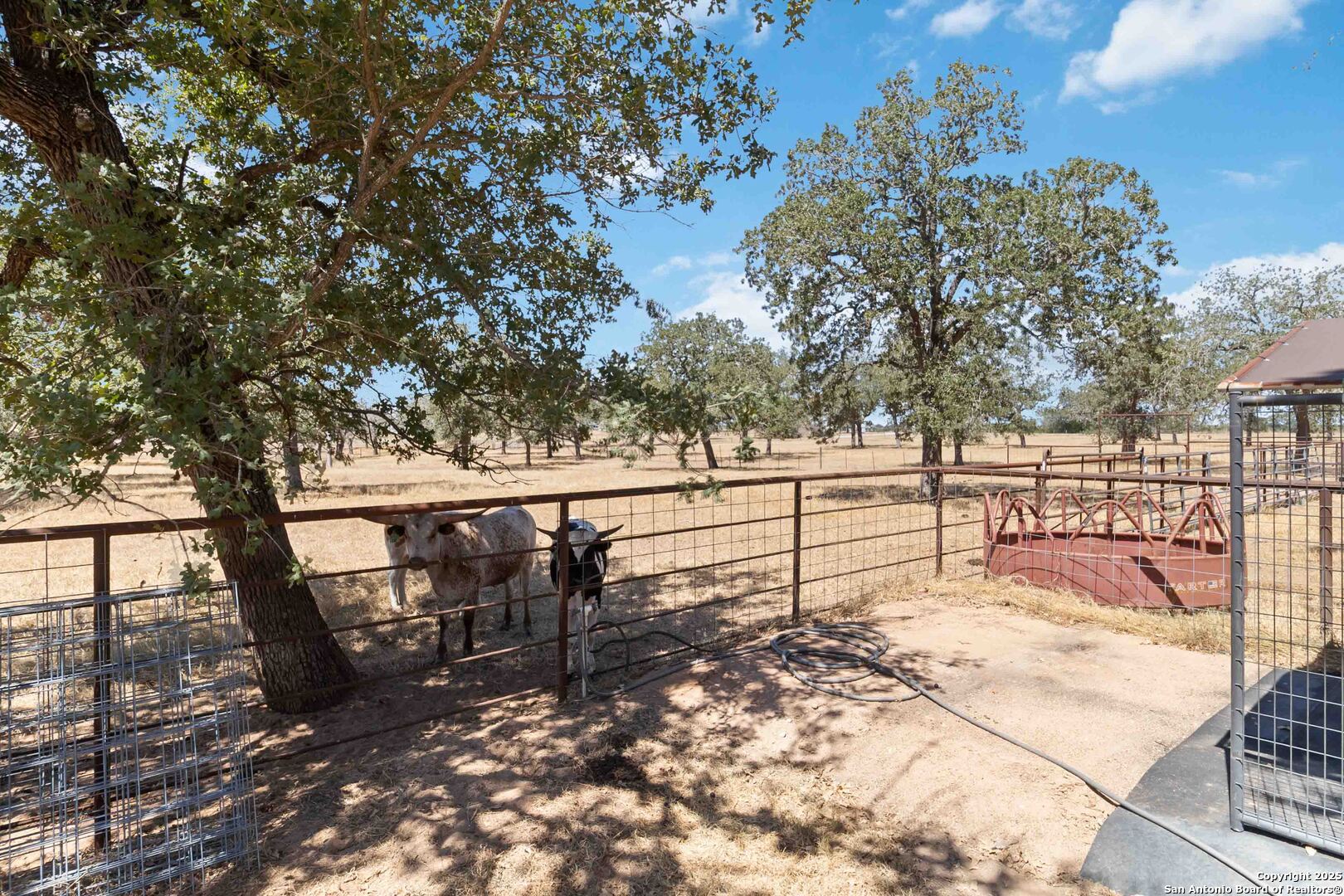 303 County Road 425