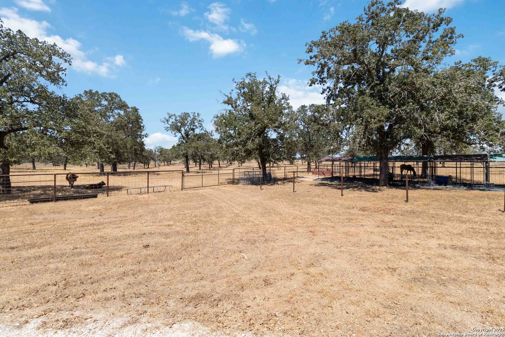303 County Road 425
