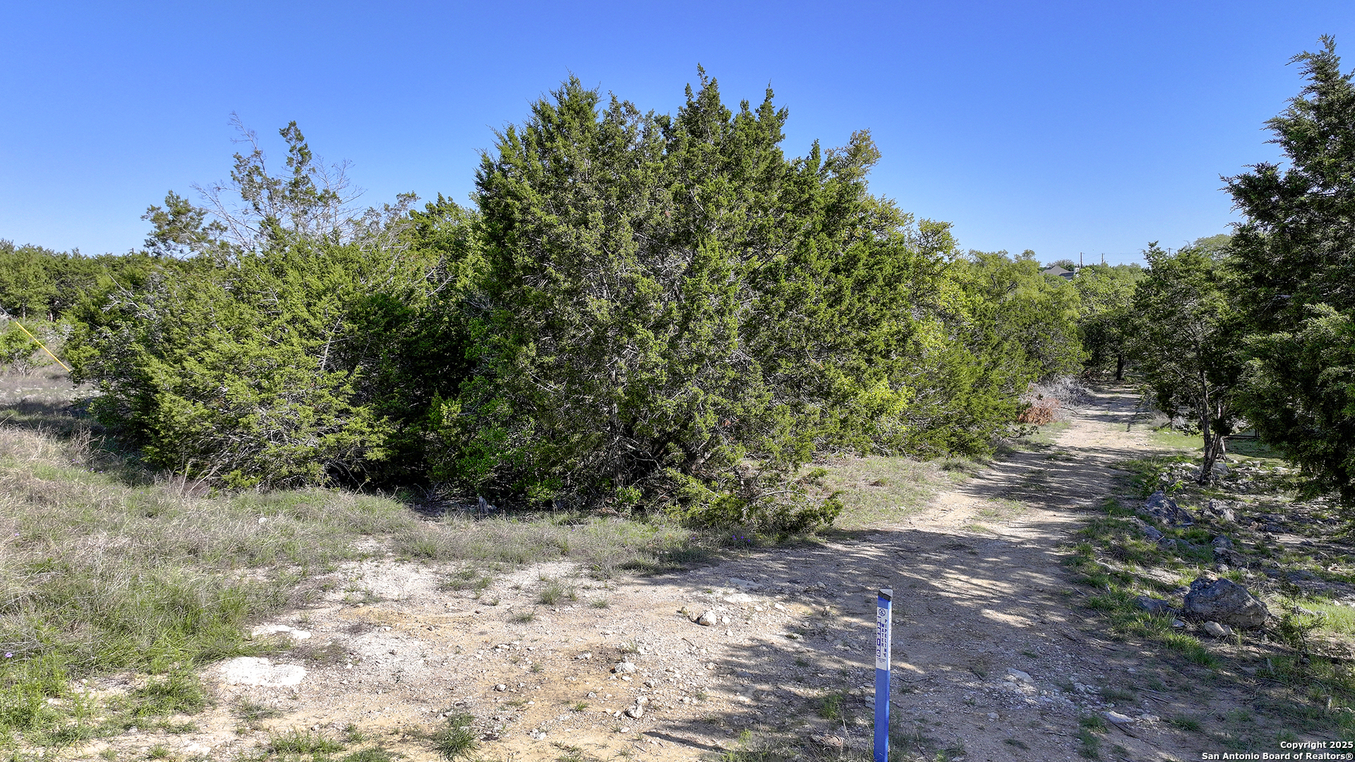 113 Alondra