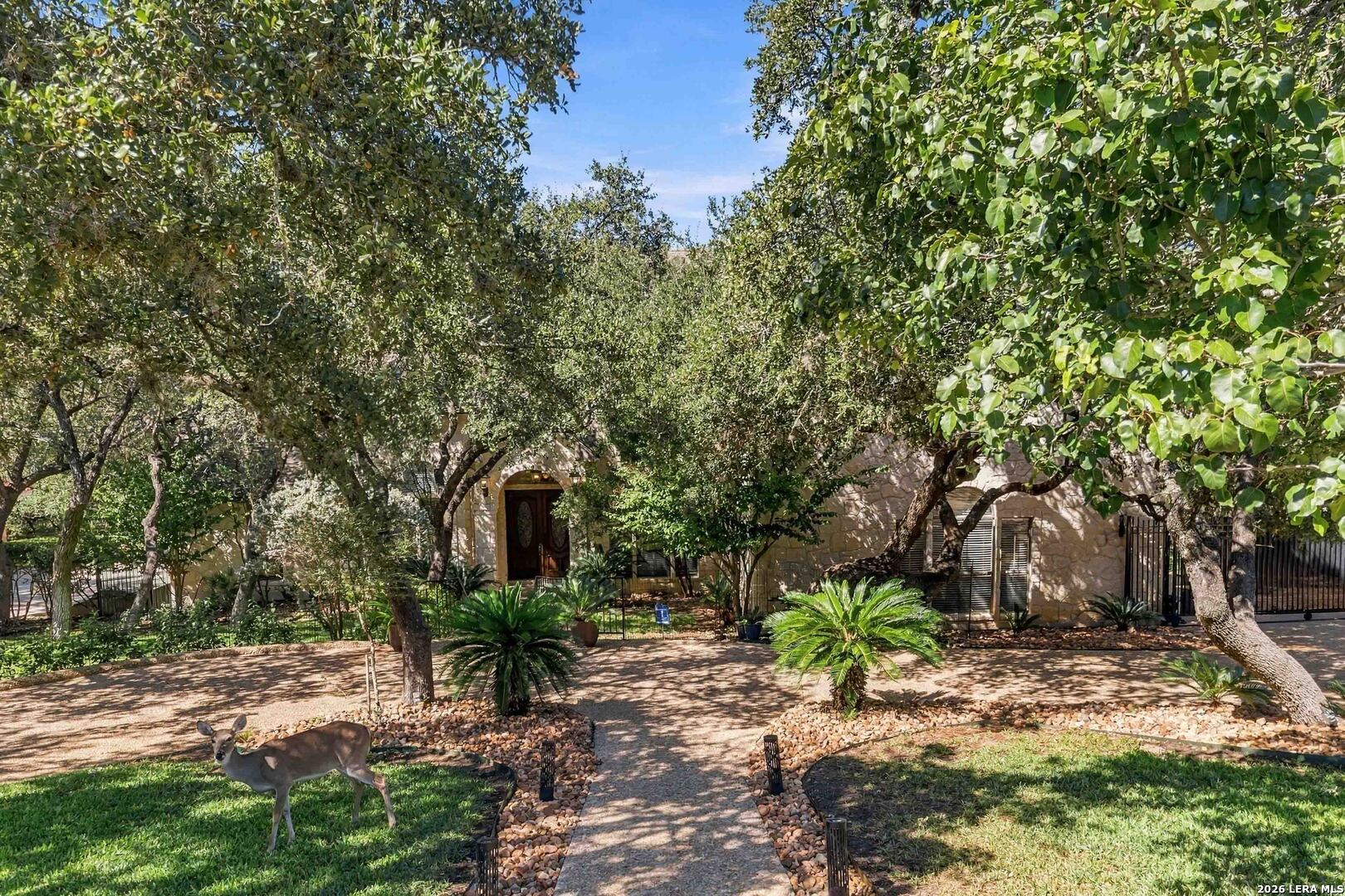 25131 Callaway