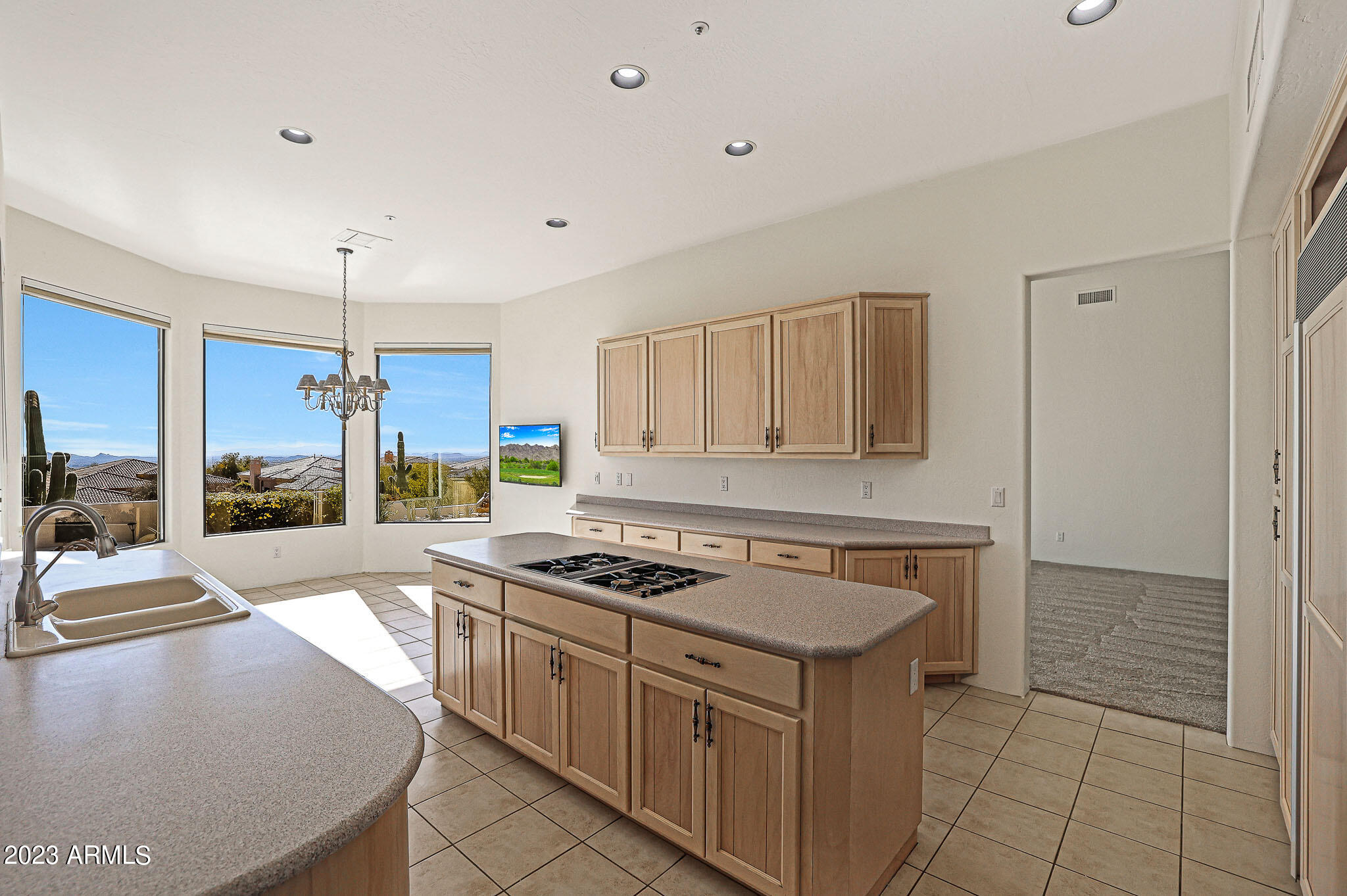 11087 E Desert Vista Drive
