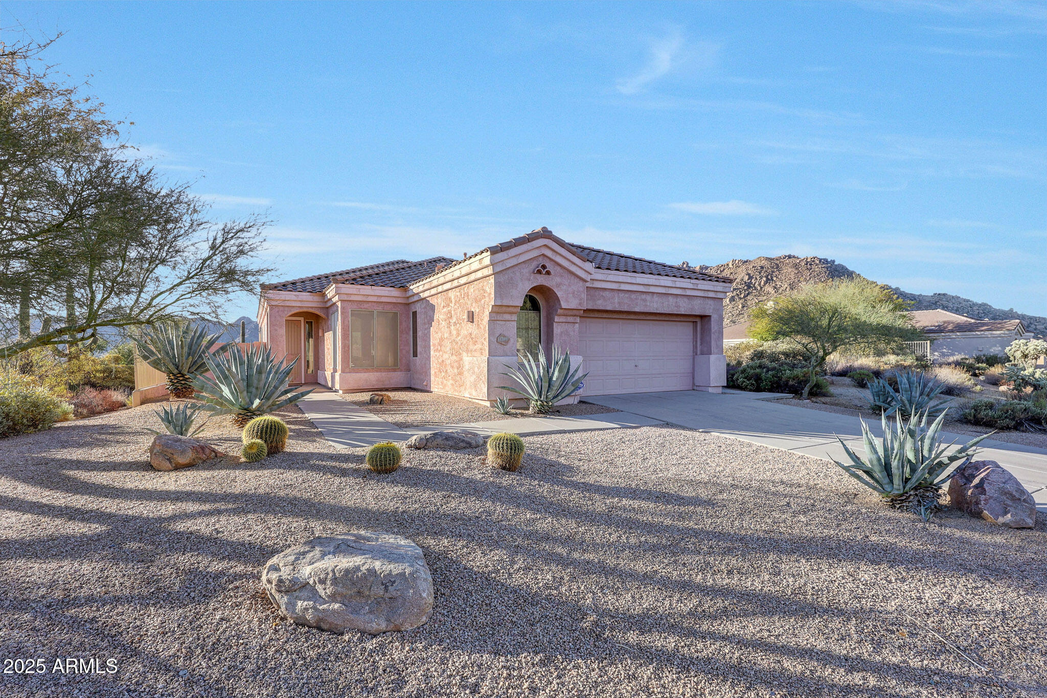 11595 E CHRISTMAS CHOLLA Drive