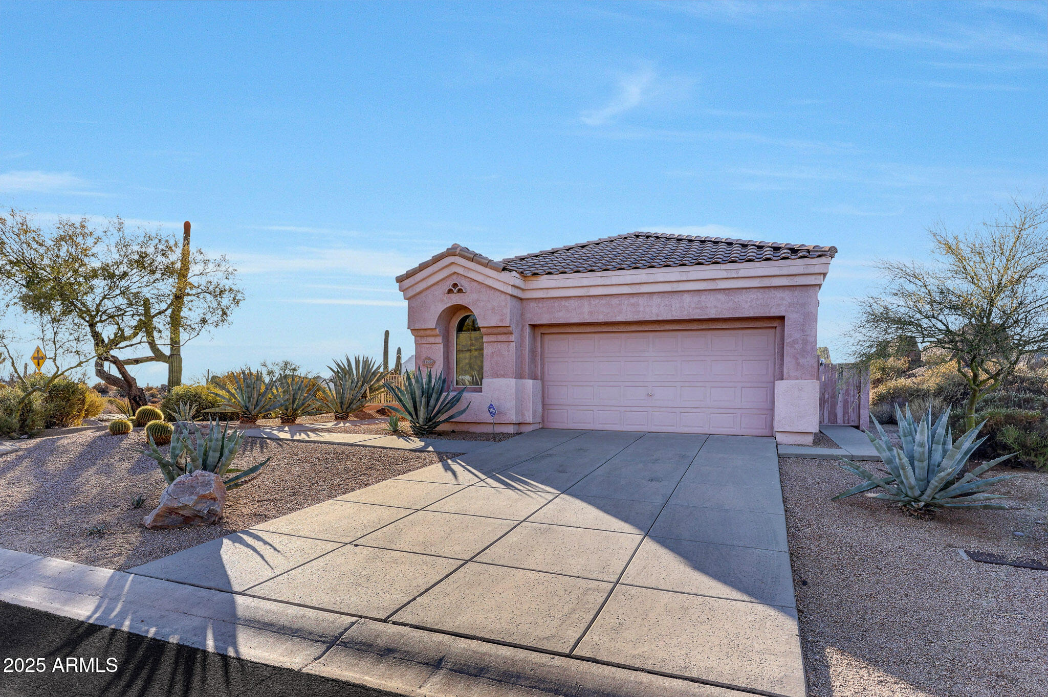 11595 E CHRISTMAS CHOLLA Drive
