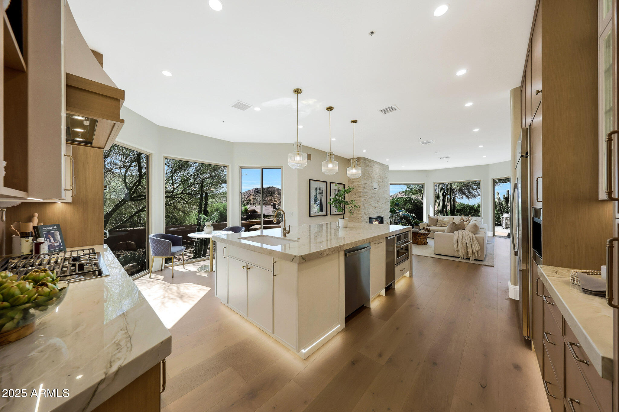 11099 E DESERT VISTA Drive