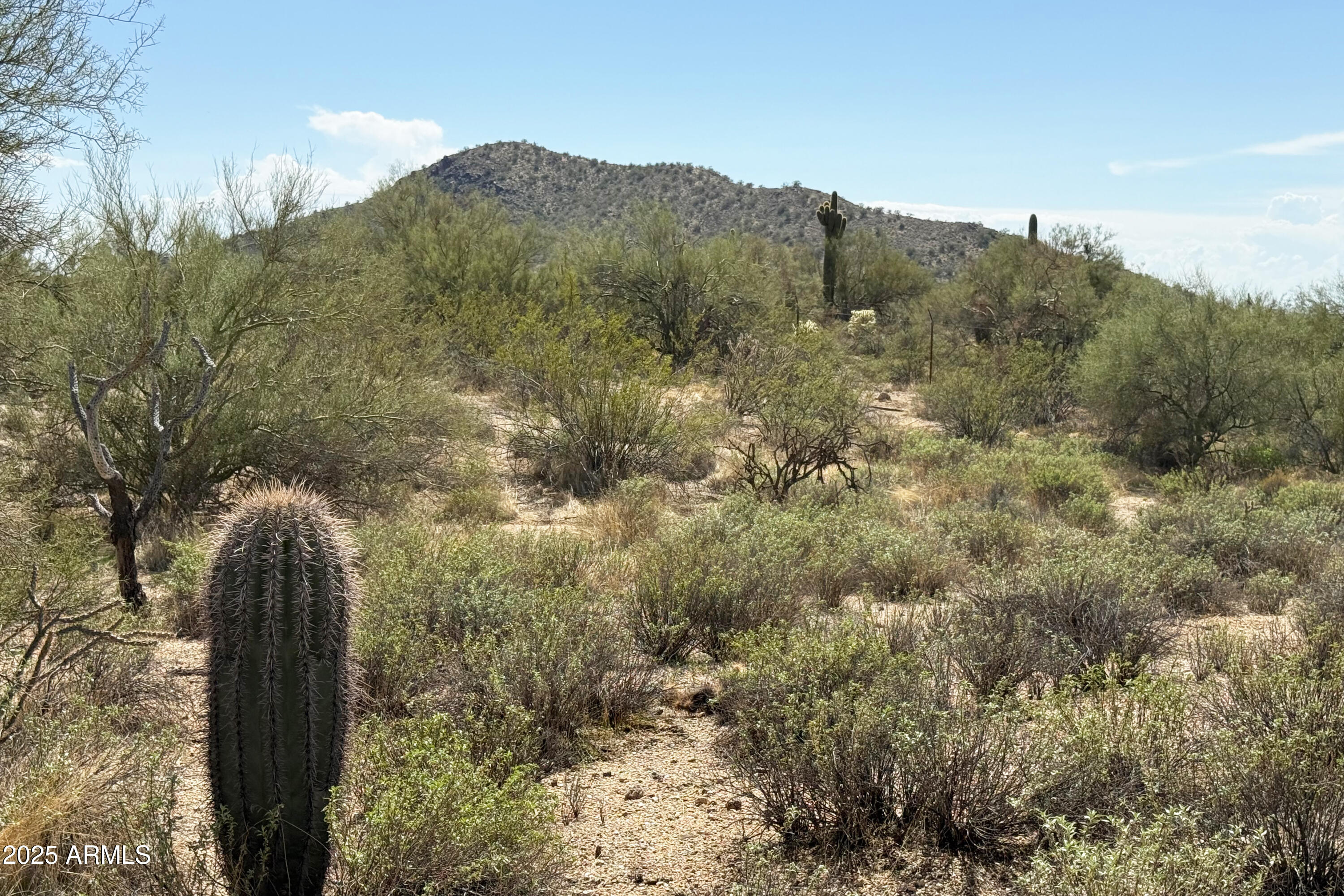 31815 N BLACK CROSS Road, 28